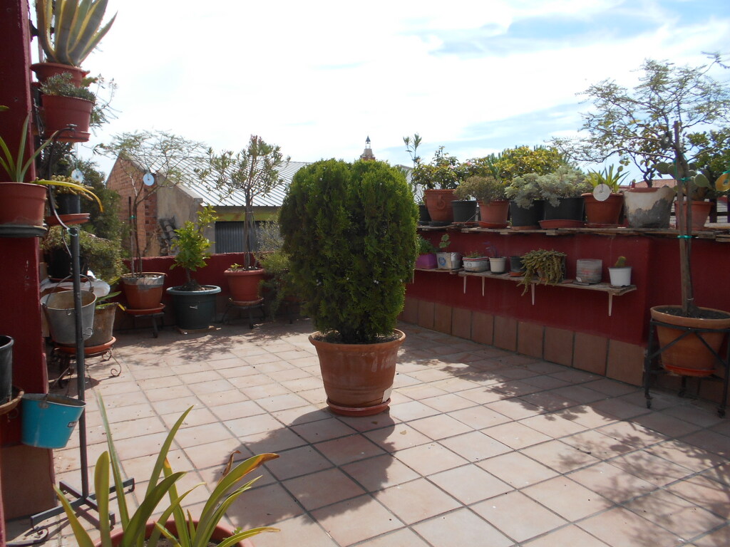 Casa en Corral de Calatrava